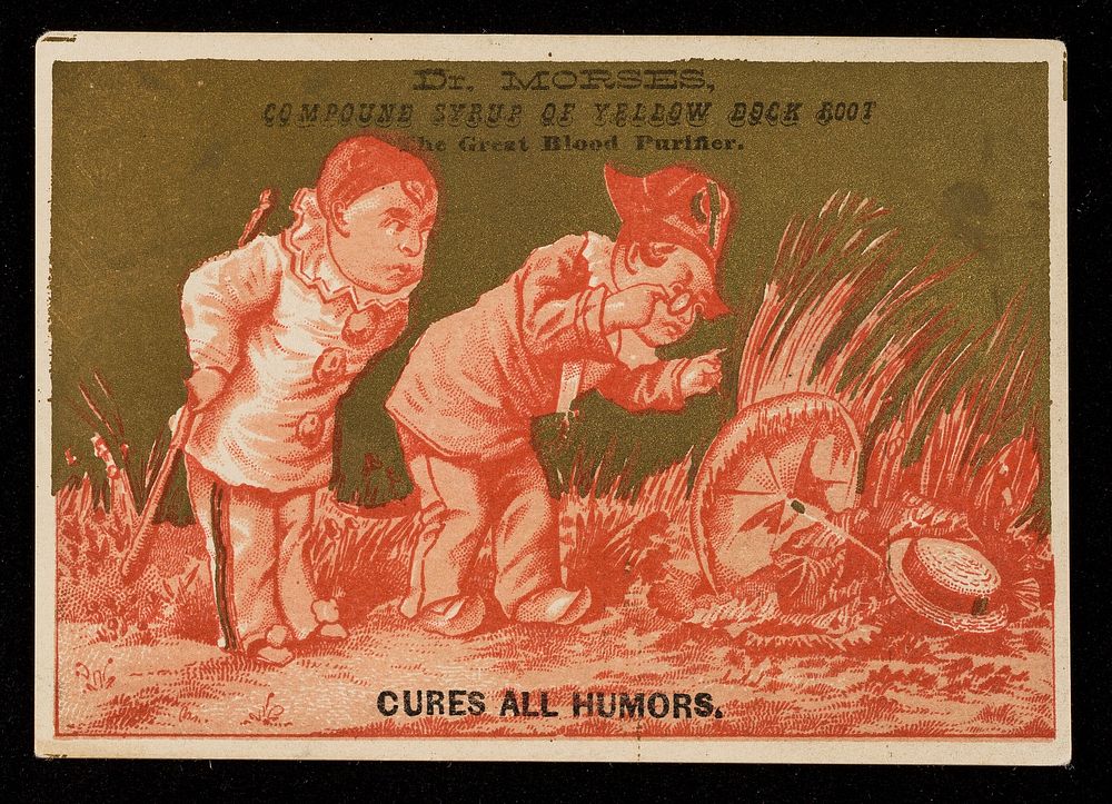 Dr. Morses, Compound Syrup of Yellow Dock Root : the great blood purifier : cures all humours.