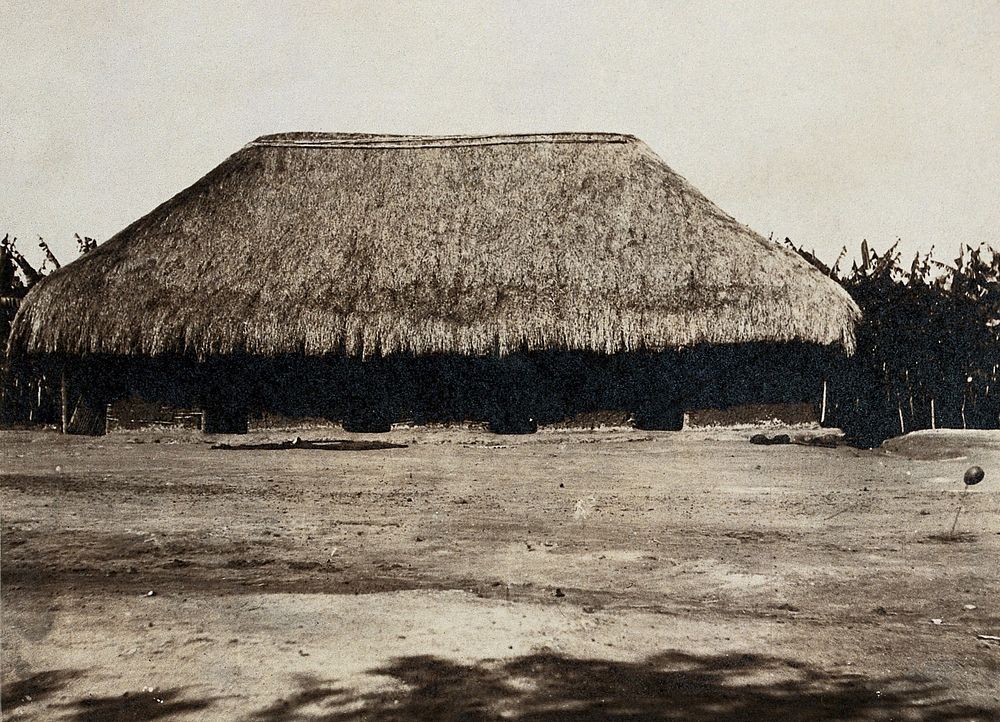 A sleeping sickness hospital with a low grass-roof, Africa. Photograph, 1900/1920.