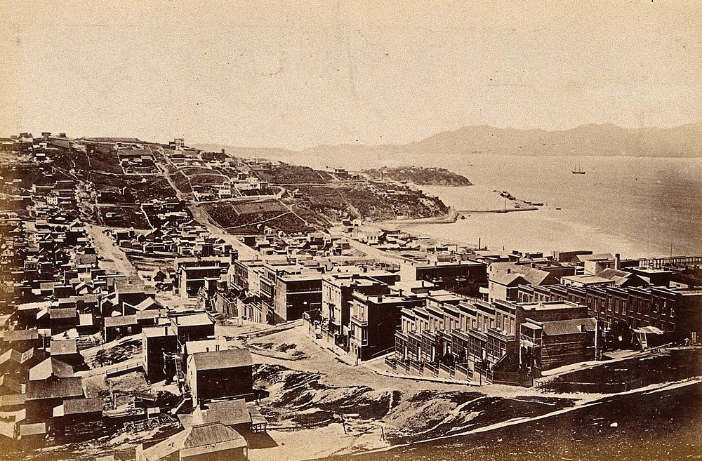 San Francisco, California: the Golden Gate bay area. Photograph, ca. 1880.
