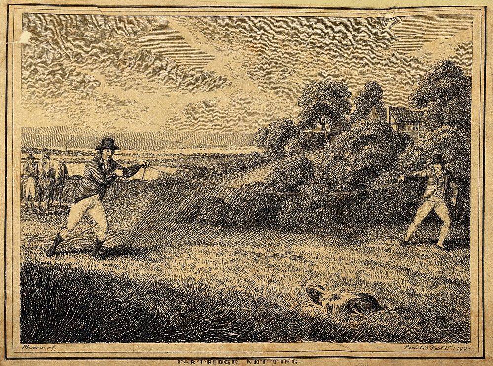Two men catching partridges by trapping them in a net and letting a dog track the birds down. Etching by W. S. Howitt.