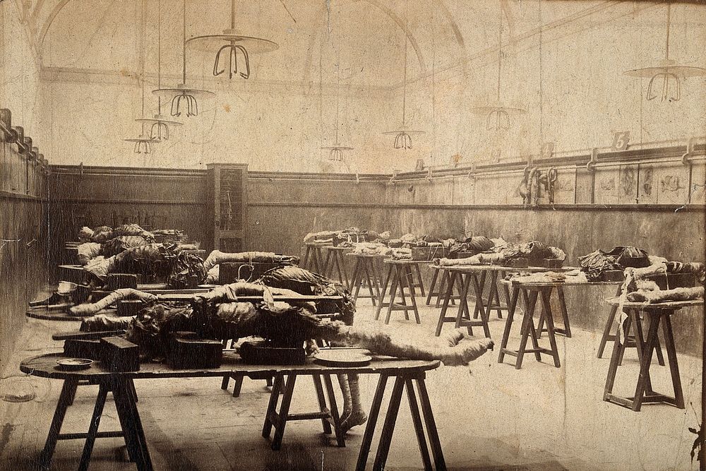 The interior of a hospital dissecting room in London, with lines of cadavers on benches. Photograph.