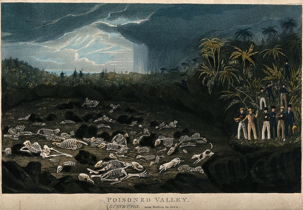 Java: human skeletons lying in a valley poisoned by volcanic gases, being watched by travellers. Coloured aquatint.