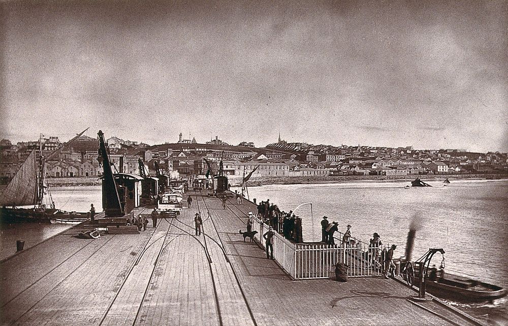 Port Elizabeth, South Africa: jetty and part of the city. Woodburytype, 1888, after a photograph by Robert Harris.