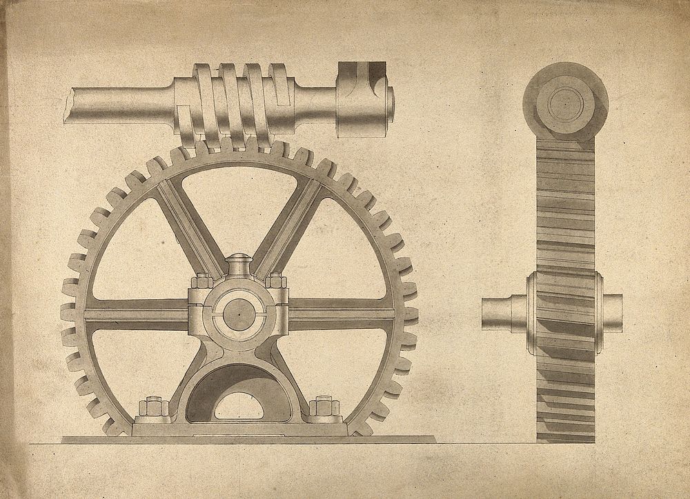 Engineering: a worm gear and spur gearwheel, side and end elevations. Coloured drawing, 1845.