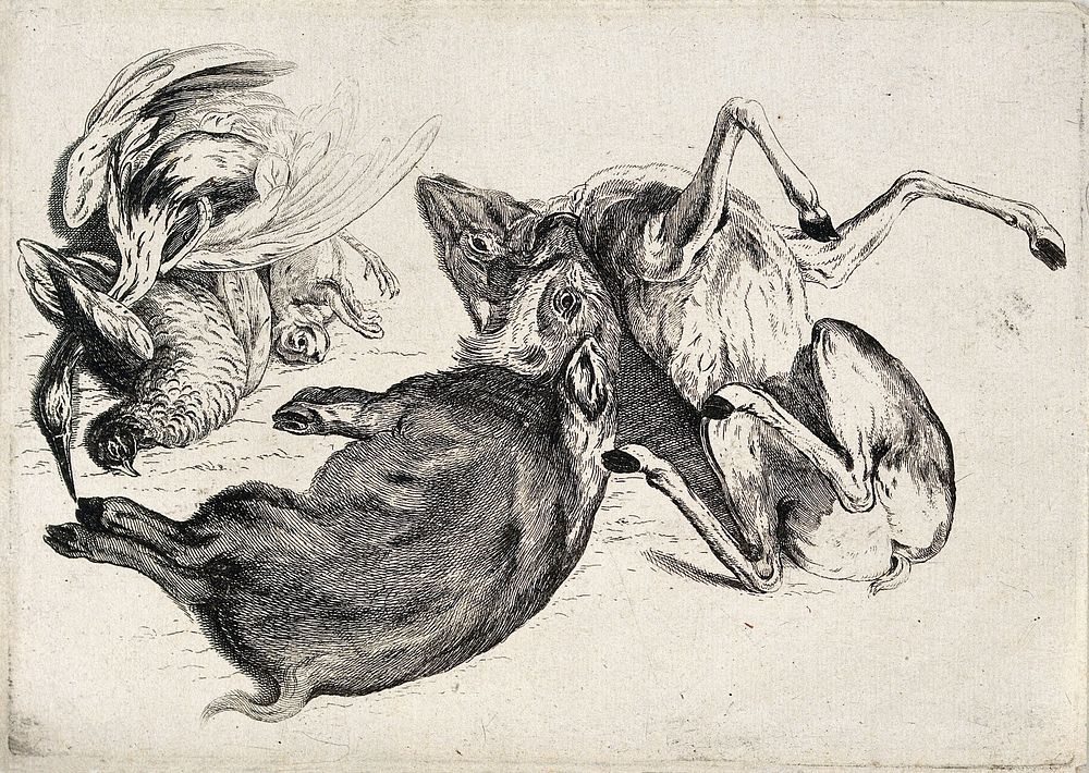 A dead boar, deer, pheasants and other animals. Etching attributed to James Ward, ca. 1794.