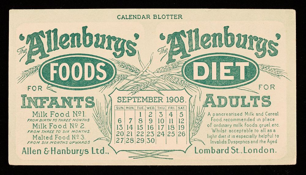 The 'Allenbury' Foods for infants : The 'Allenburys' Diet for adults : September 1908.