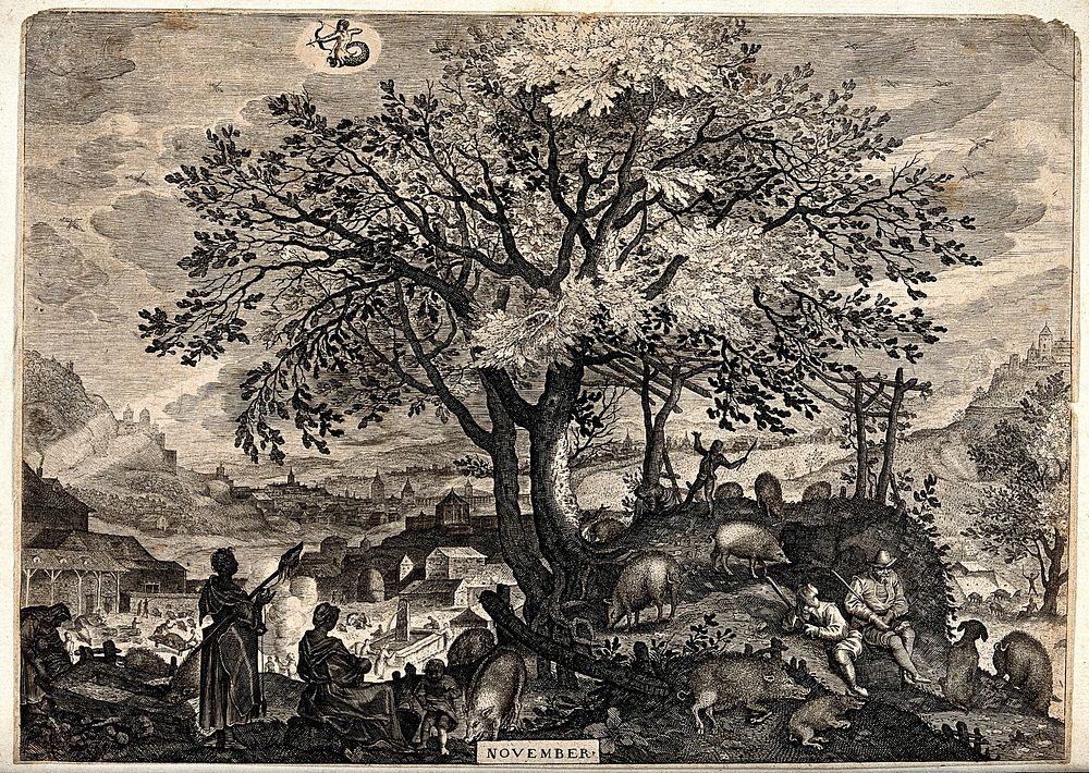 Months of the year: November. Engraving after P. Stevens.