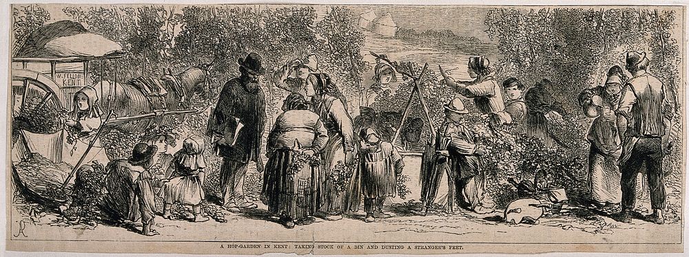 Harvest time in a hop-garden in Kent. Wood-engraving, c. 1857 .
