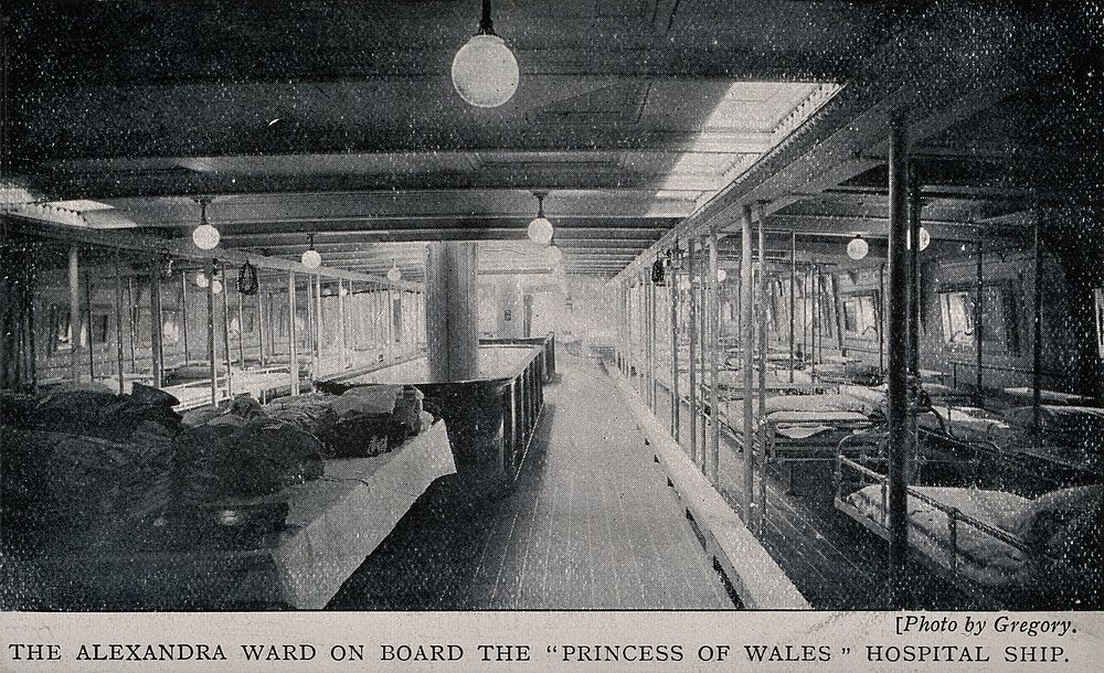 Boer War: the Alexandra ward on board the "Princess of Wales" hospital ship. Halftone, c.1900, after Gregory.