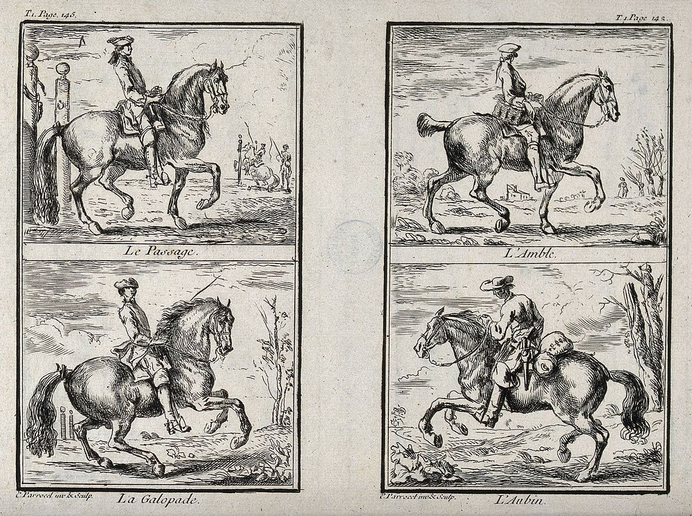 Four different paces and figures of the old school of horsemanship and riding, including the passage, amble and galop.…