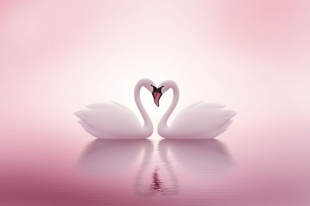 Couple swan shape flamingo bird pink.