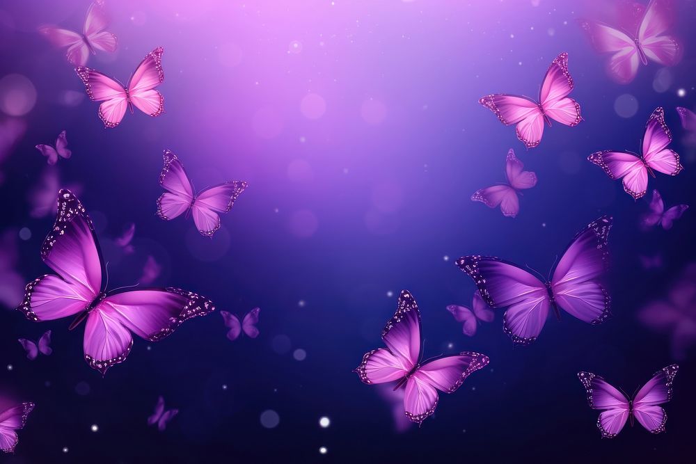 Purple butterflies frame neon backgrounds butterfly abstract.