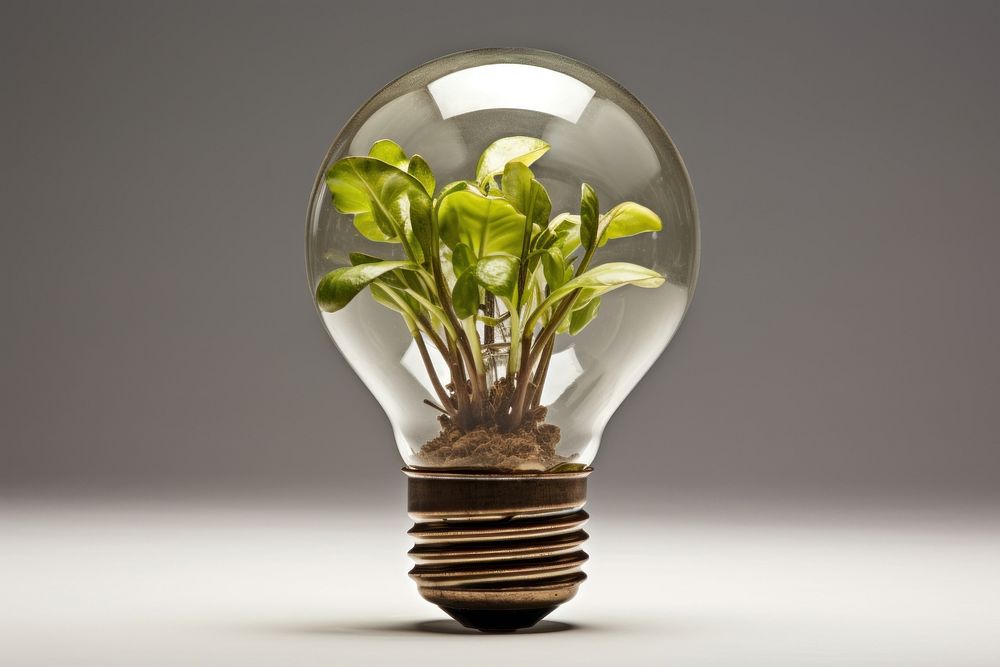 Light bulb with agriculture light lightbulb plant.