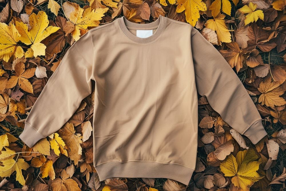 Long-sleeve t-shirt sweatshirt sweater autumn.
