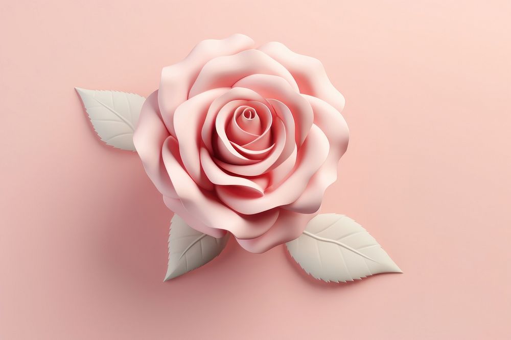 Rose rose flower petal.