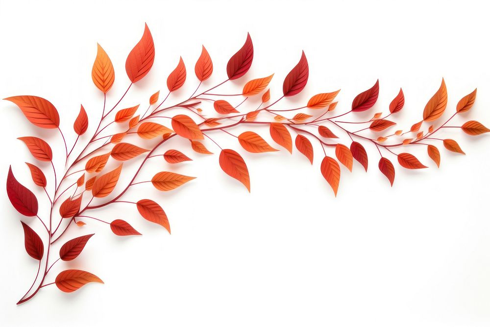 Pattern autumn plant leaf.