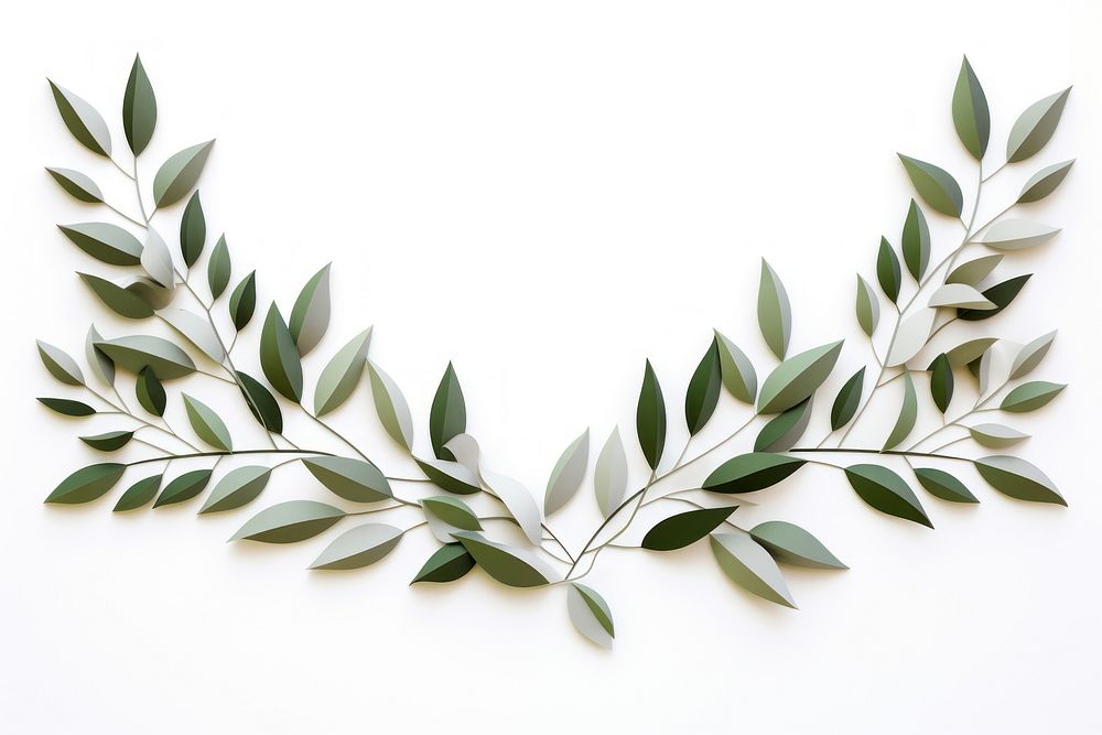 Plant leaf white background accessories.