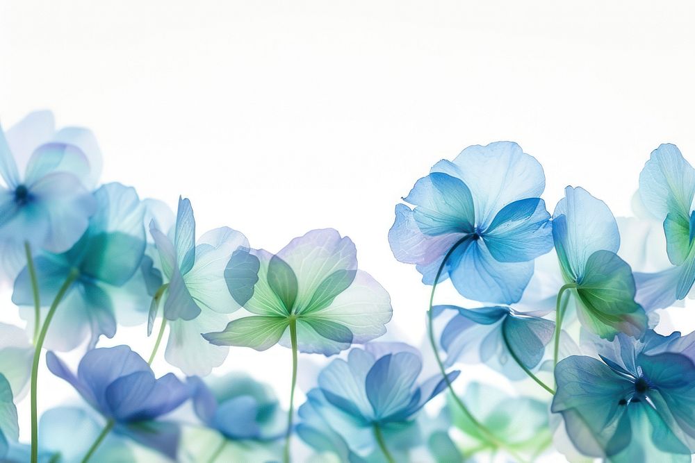 Blue and green flowers flying border backgrounds nature petal.