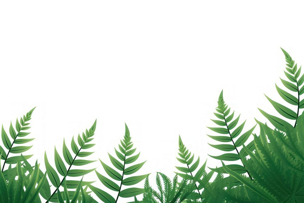 Fern fern backgrounds vegetation.