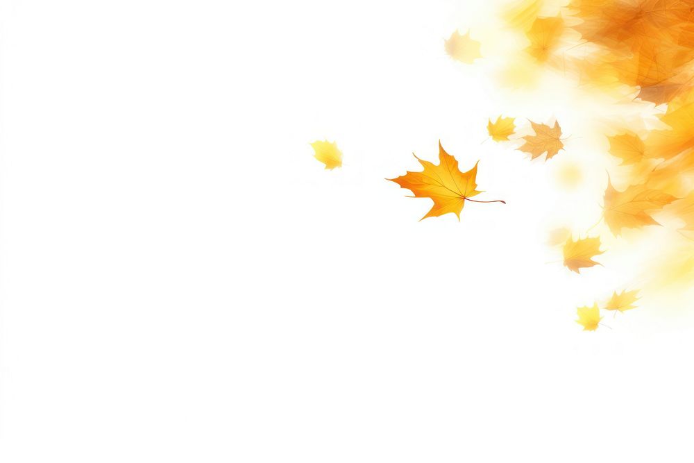 Autumn leaves backgrounds plant leaf.