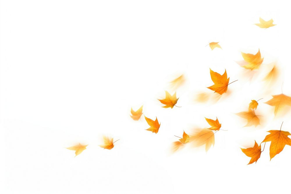 Autumn leaves backgrounds leaf abstract. | Free Photo - rawpixel