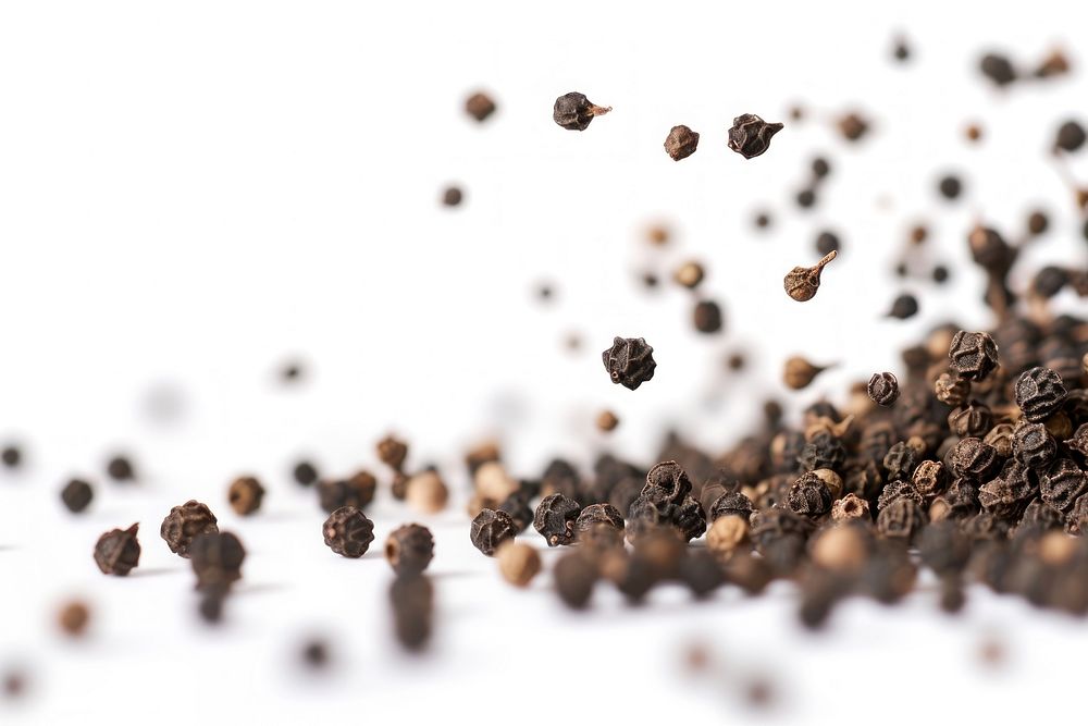 Black pepper backgrounds white background ingredient.