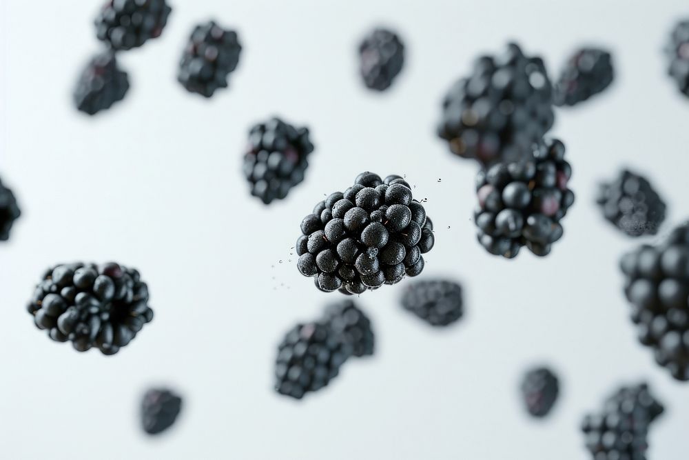 Blackberrys fruit plant food.