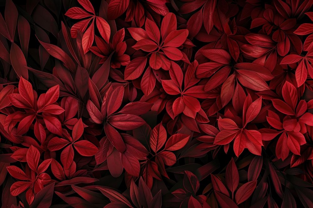 Red botanical wallpaper background backgrounds nature flower.