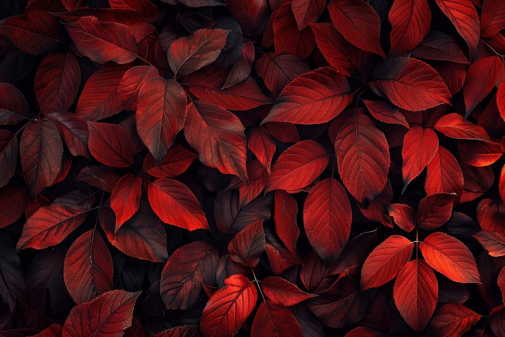 Red leafy texture wallpaper nature plant backgrounds.