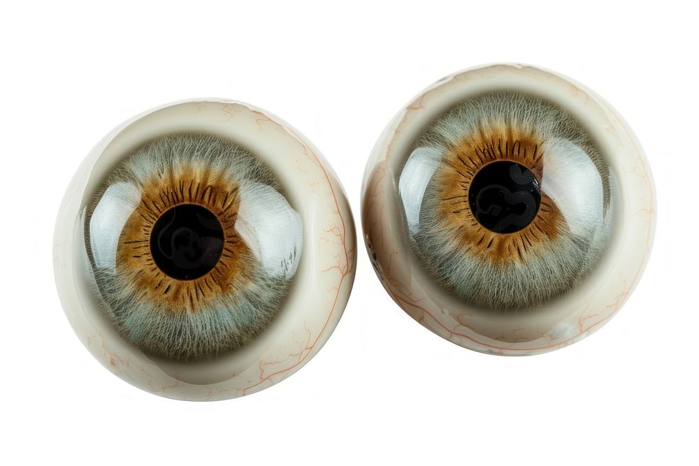 Eye art accessories accessory.