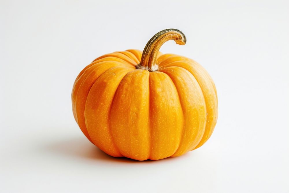 Photo of a single pumpkin vegetable plant food.