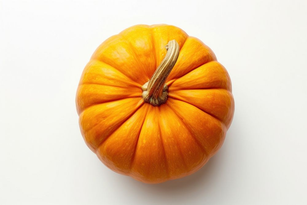 Photo of a single pumpkin vegetable plant food.