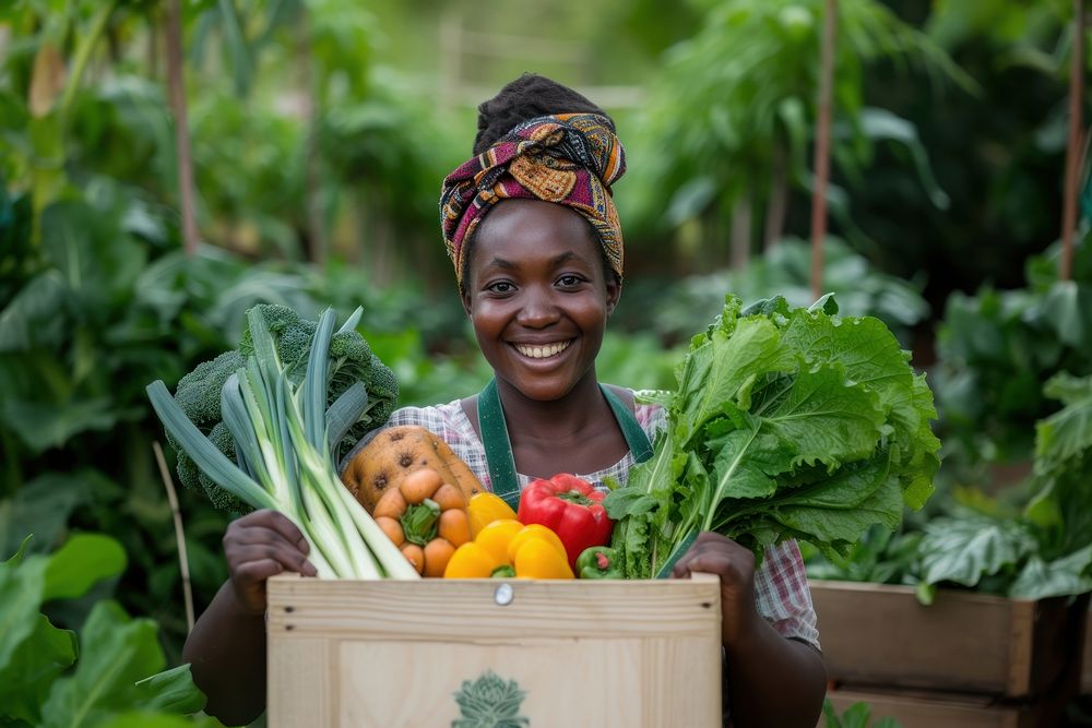 Young African woman with homemade vegetable box in hands portrait adult plant.