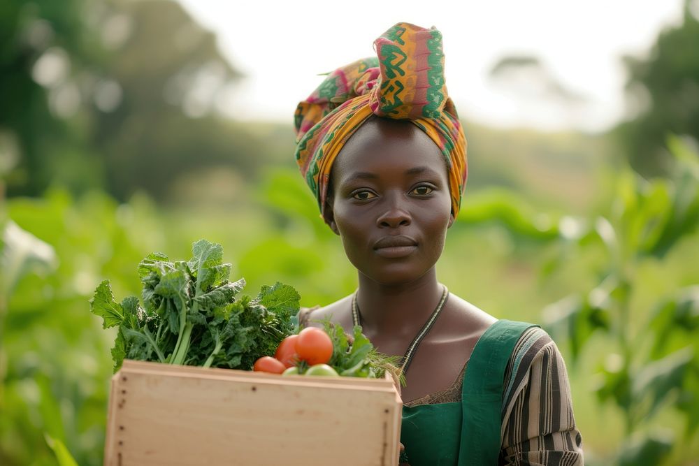 Young African woman with homemade vegetable box in hands agriculture gardening outdoors.