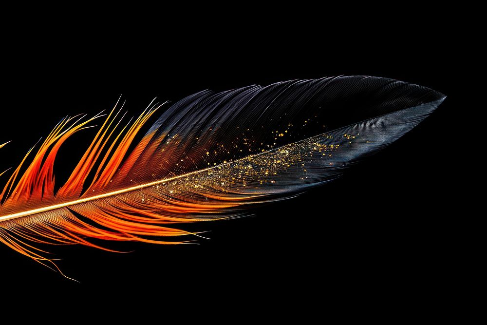 Hornbill bird feather sparkle light glitter black background lightweight accessories.