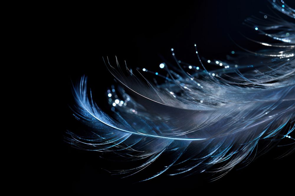 Songbird bird feather sparkle light glitter backgrounds pattern black.