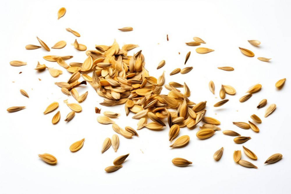 Falling sunflower seeds food white background ingredient.
