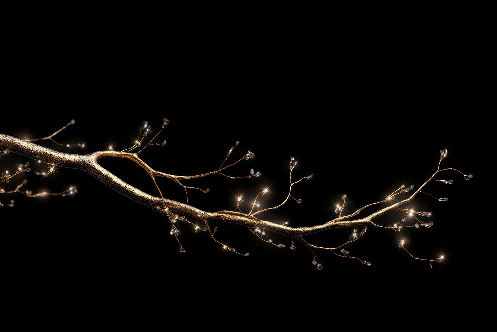 Tree twig sparkle light glitter fireworks lighting nature.