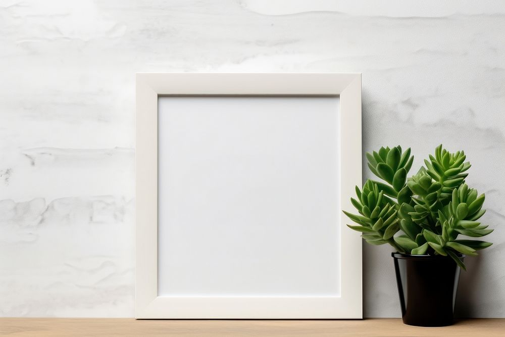 Frame plant backgrounds wall.