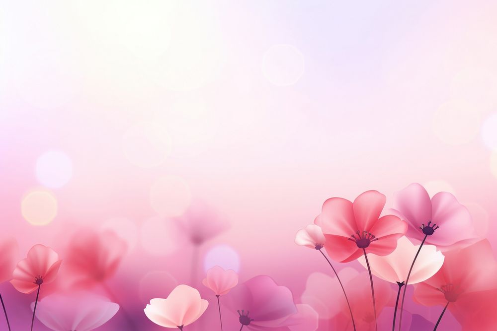Flower gradient background backgrounds abstract outdoors.