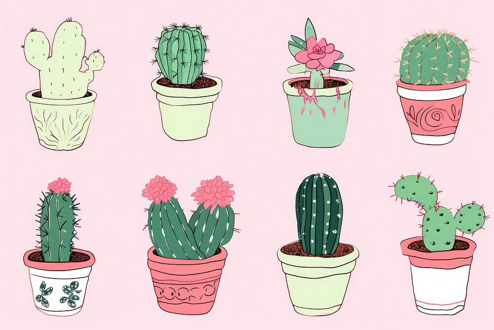 Cactus cartoon plant day.