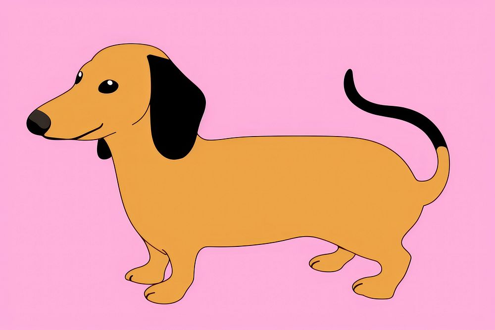 Dachshund dog dachshund cartoon animal.