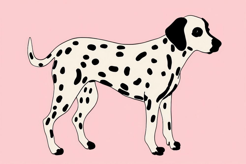 Dalmatian dog dalmatian cartoon drawing.