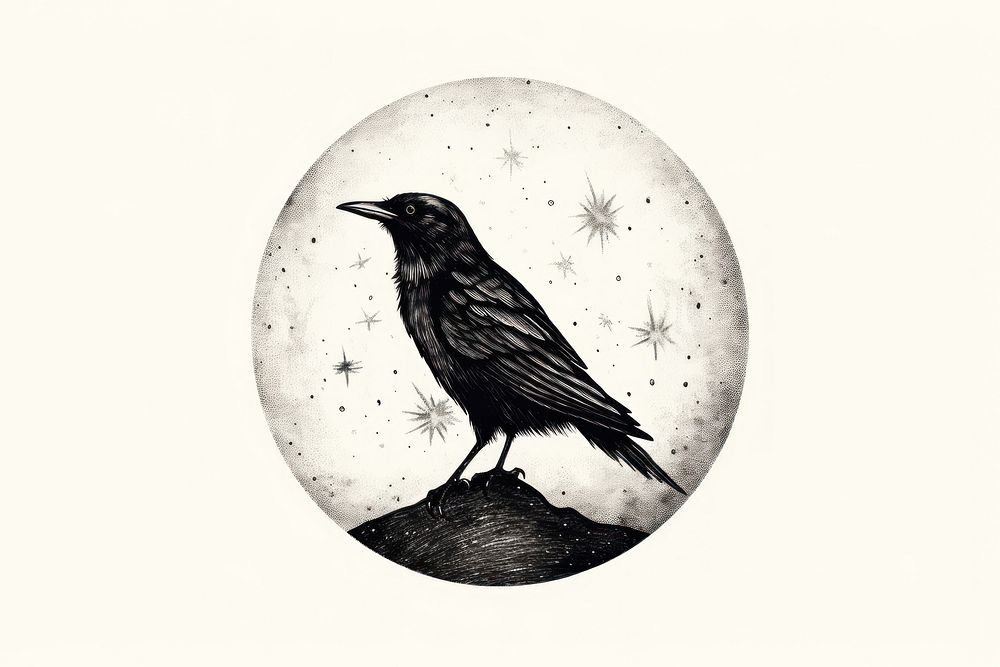 Illustration of crow drawing animal bird.