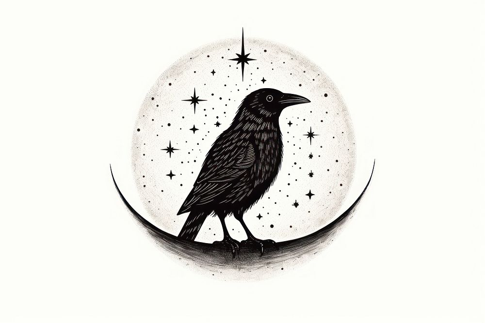 Illustration of crow drawing nature night.