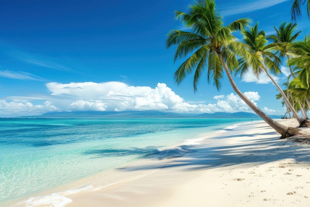 Beach with palm trees ocean landscape outdoors.