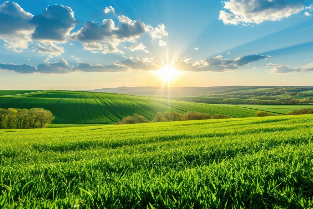 Beautiful green dune field landscape | Premium Photo - rawpixel