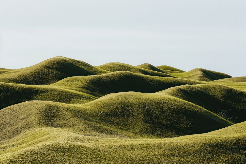 Beautiful green dune field landscape background backgrounds grassland outdoors.