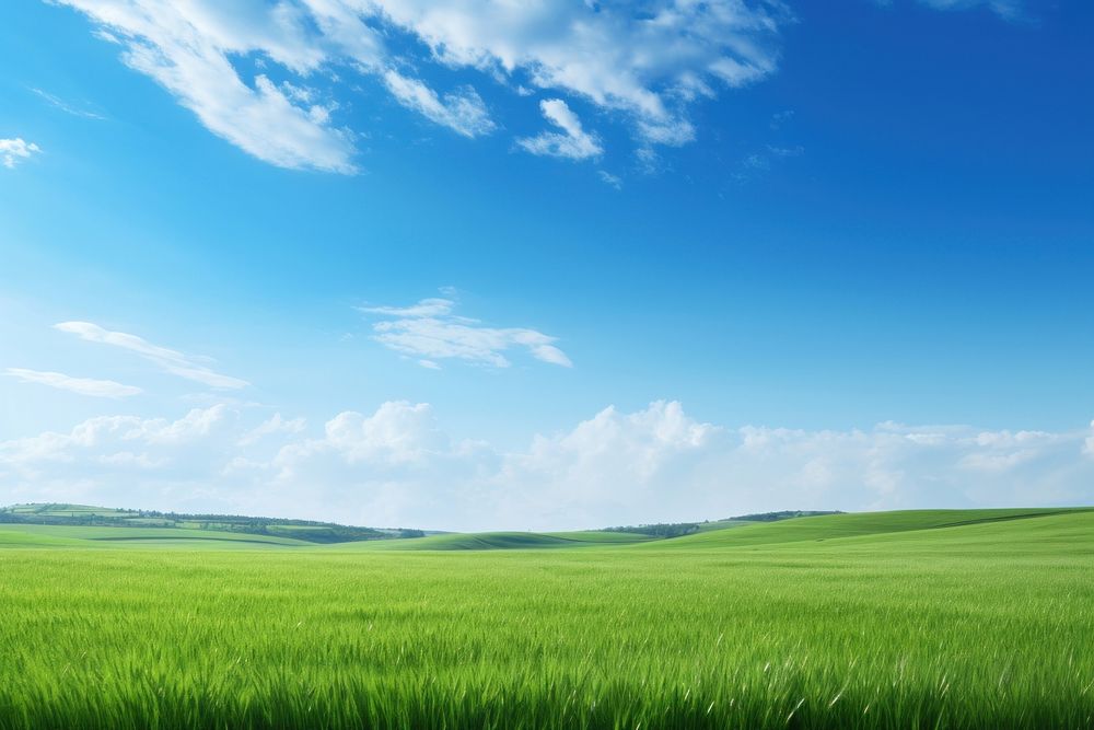 Green field landscape background sky backgrounds grassland.