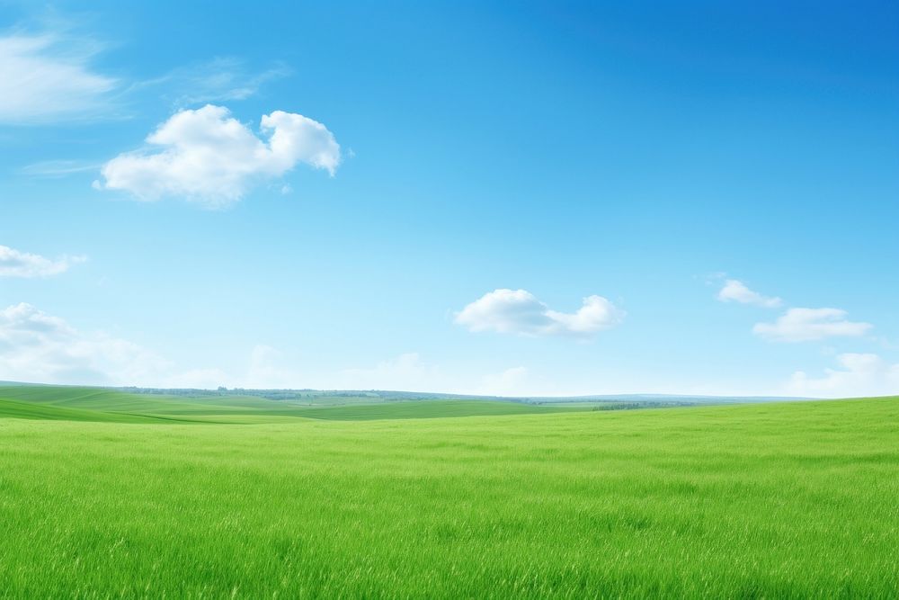 Green field landscape background sky backgrounds outdoors.